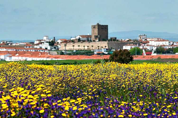 Olivenza Badajoz