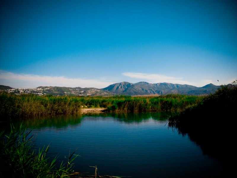 Parque Natural del marjal de Pego-Oliva